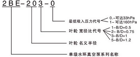 水環(huán)式真空泵